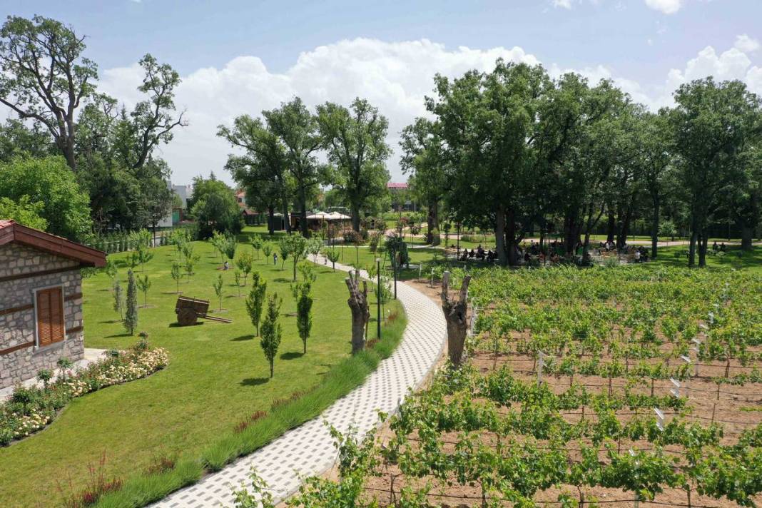 Meram’da her yaz bir başka güzel! İşte gezilecek yerler 2