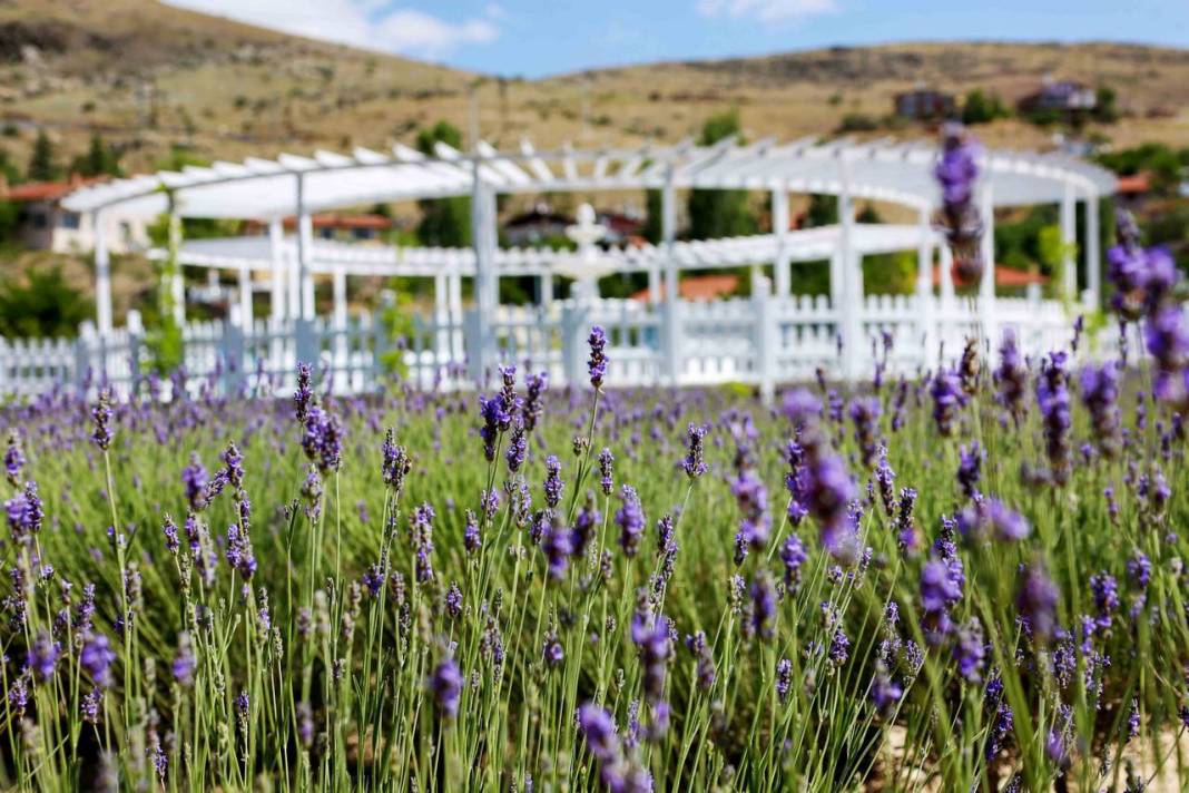 Meram’da her yaz bir başka güzel! İşte gezilecek yerler 4