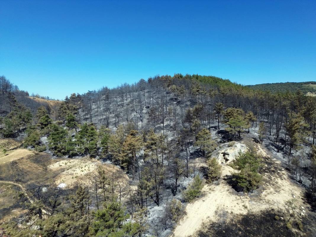 Sakarya'da büyük yangın... 700 personel, 200 araç ve 11 helikopter iş başında 10