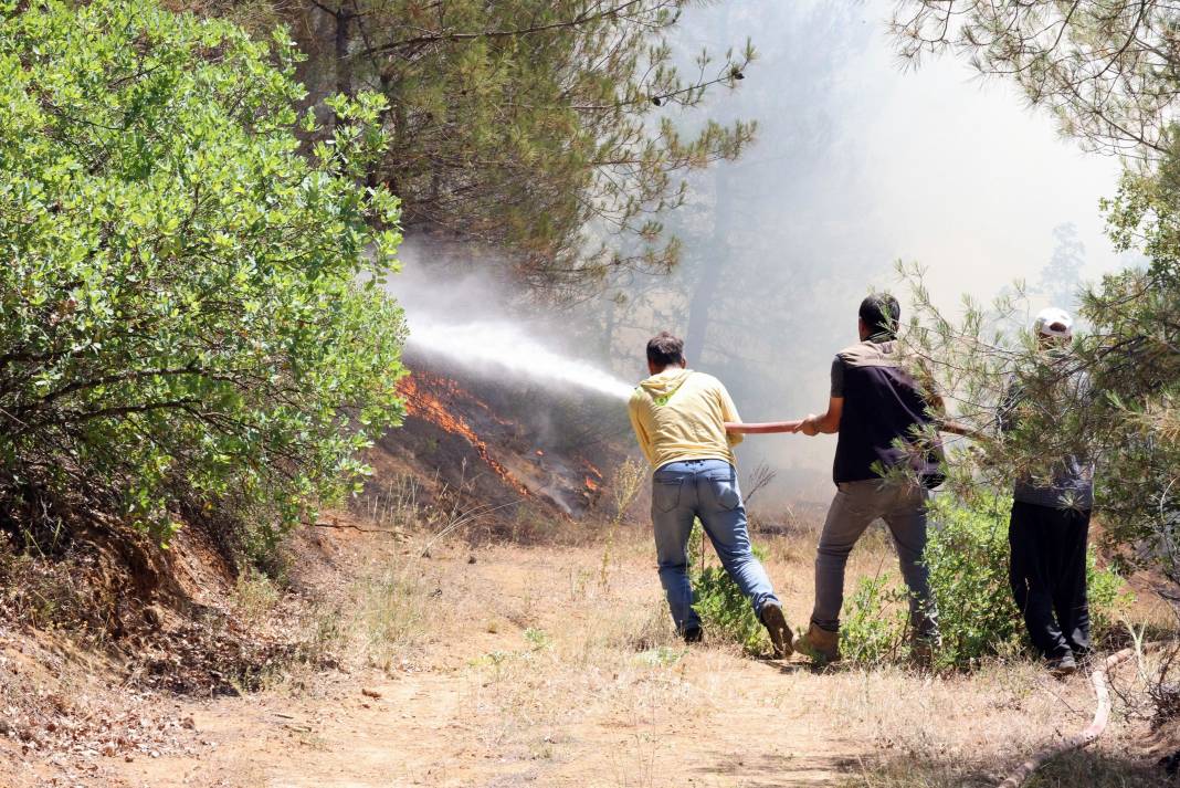 Sakarya'da büyük yangın... 700 personel, 200 araç ve 11 helikopter iş başında 11