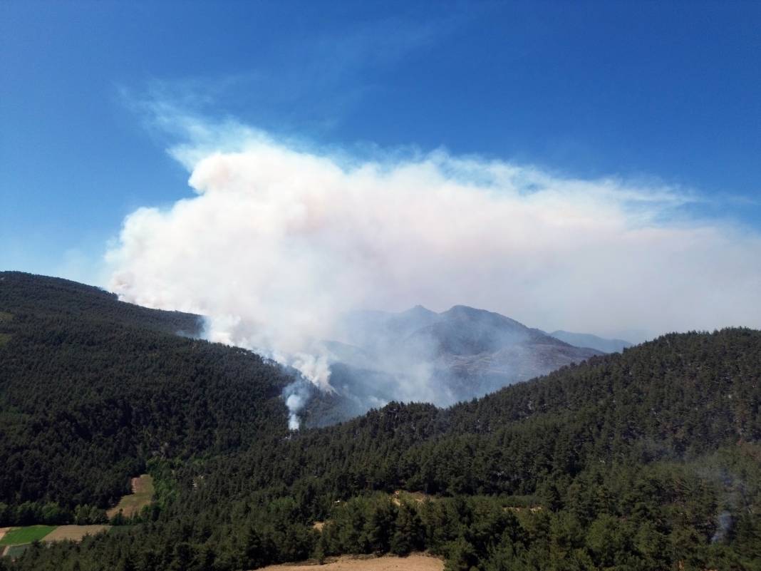 Sakarya'da büyük yangın... 700 personel, 200 araç ve 11 helikopter iş başında 2
