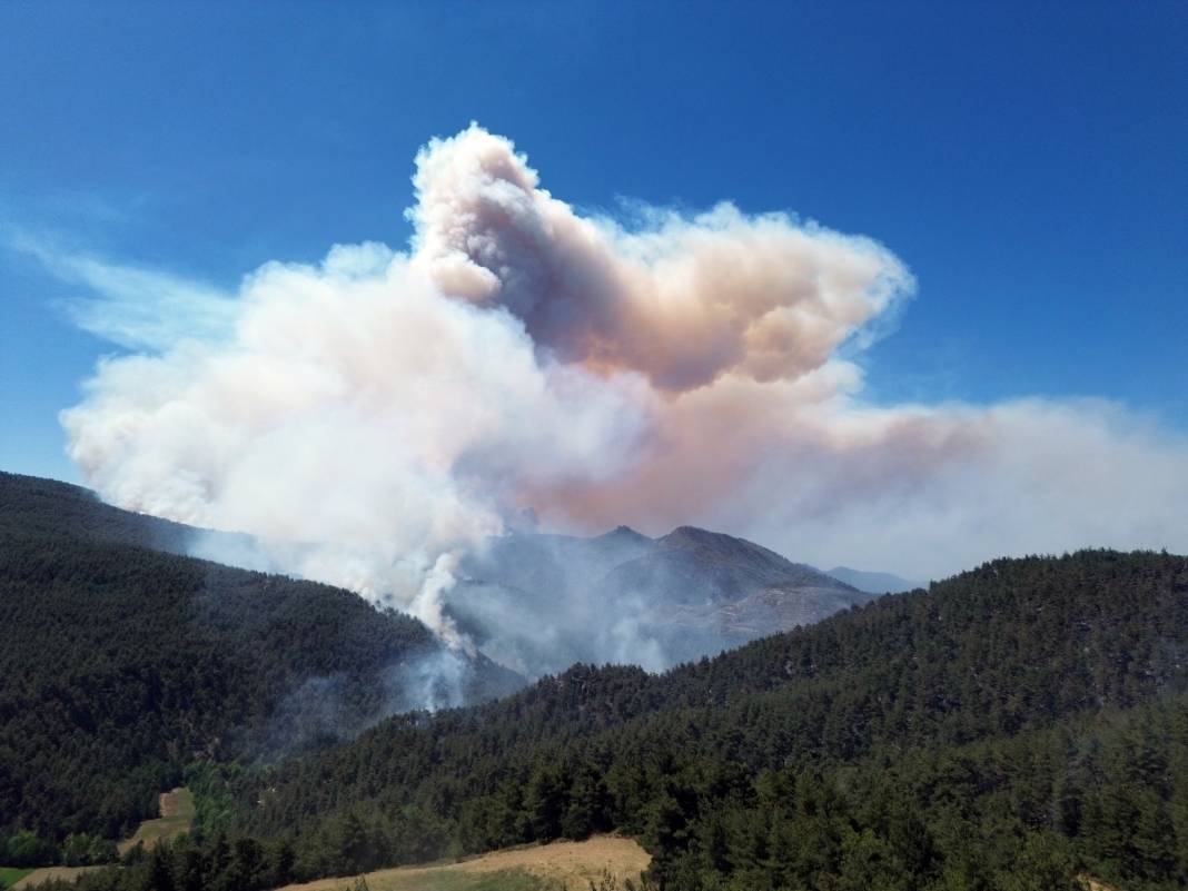 Sakarya'da büyük yangın... 700 personel, 200 araç ve 11 helikopter iş başında 4