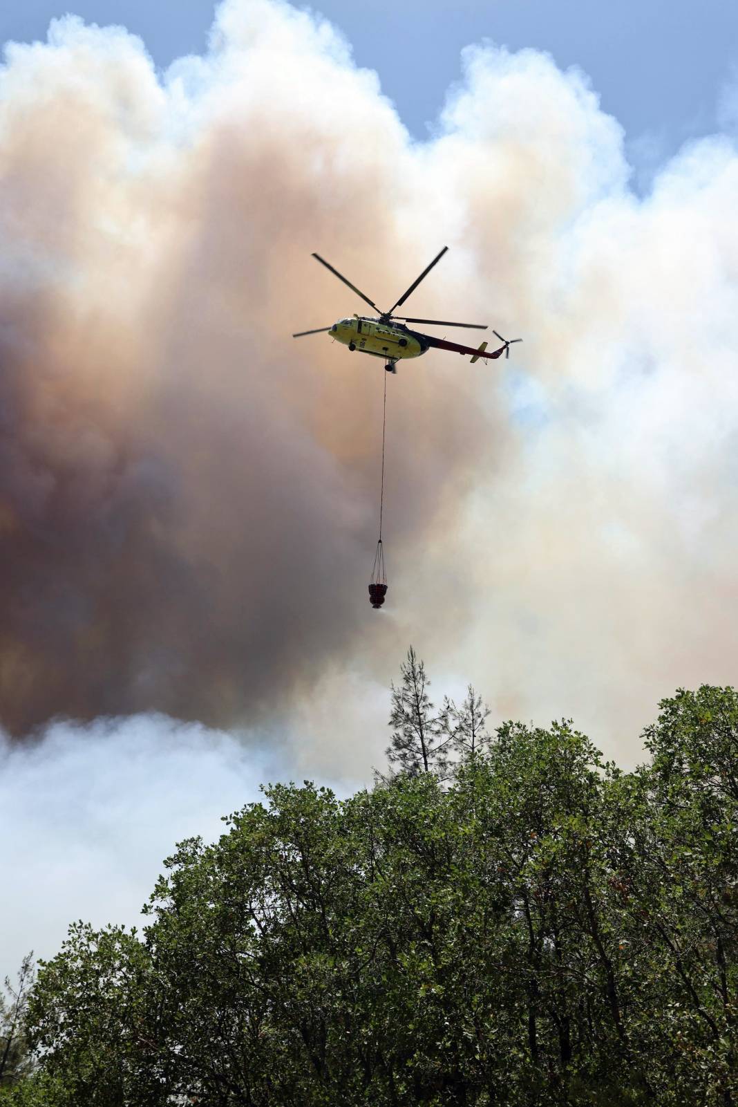 Sakarya'da büyük yangın... 700 personel, 200 araç ve 11 helikopter iş başında 6