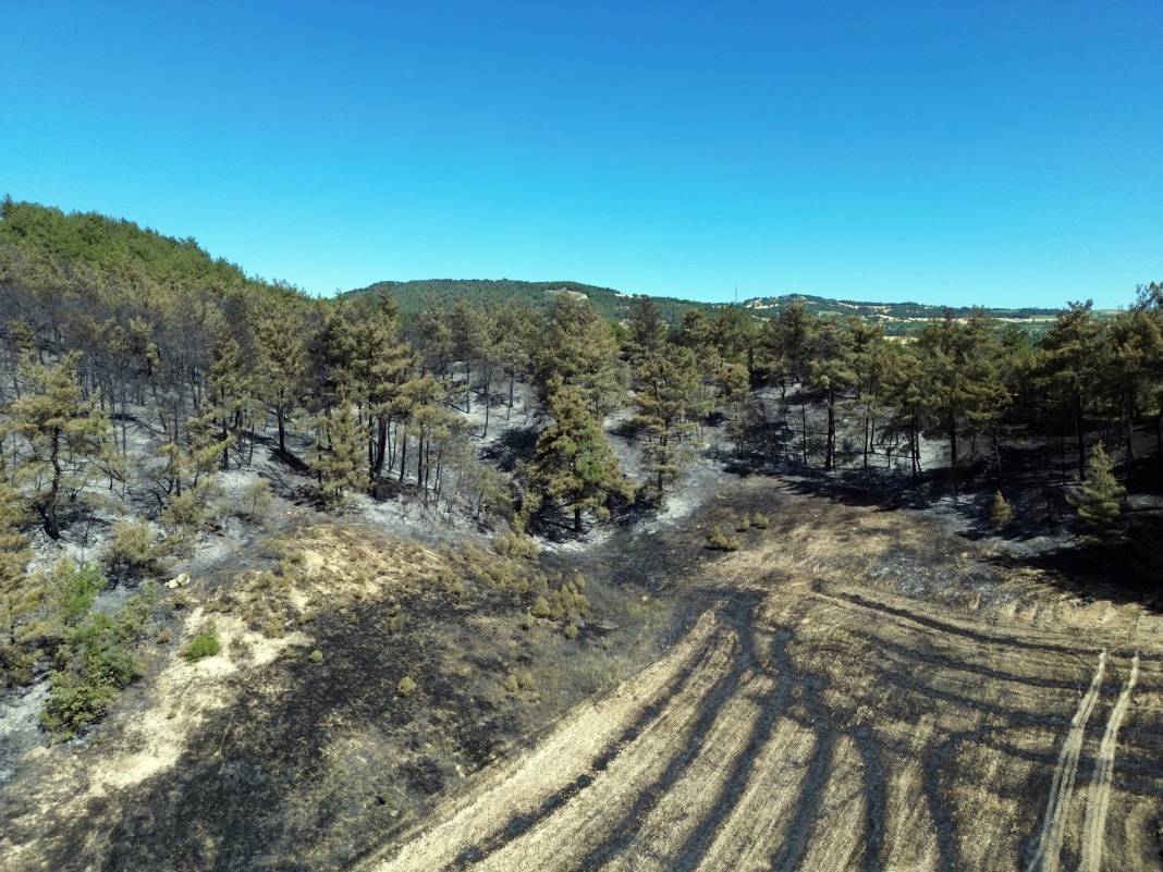 Sakarya'da büyük yangın... 700 personel, 200 araç ve 11 helikopter iş başında 8