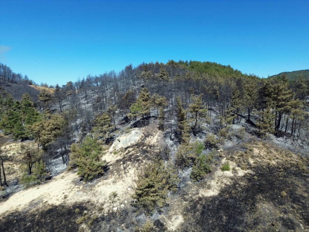 Sakarya'da büyük yangın... 700 personel, 200 araç ve 11 helikopter iş başında 9