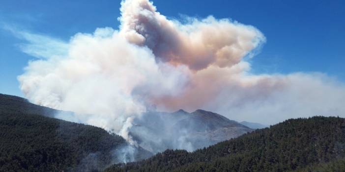 Sakarya'da büyük yangın... 700 personel, 200 araç ve 11 helikopter iş başında
