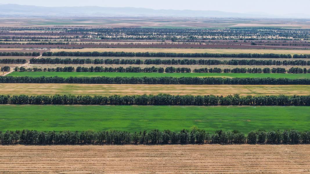 Burada üretilen tohumların yüzde 45’i kuraklığa dayanıklı 4