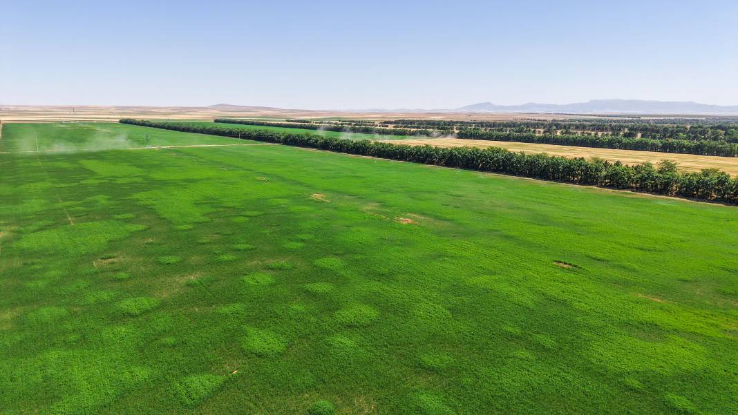 Burada üretilen tohumların yüzde 45’i kuraklığa dayanıklı 6