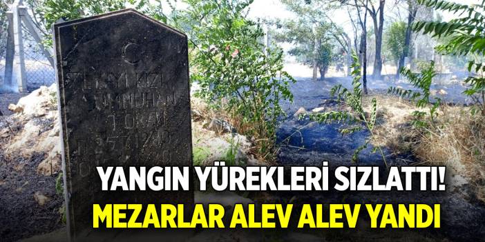 Yangın yürekleri sızlattı! Mezarlar alev alev yandı