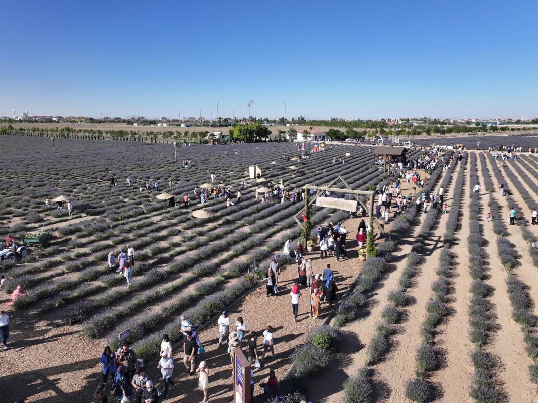 Konya'da festival coşkusu 6
