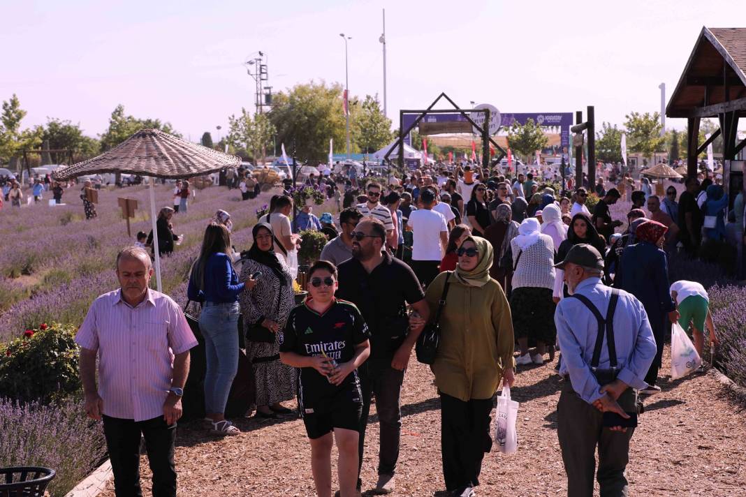 Karatay’ın mor güzelliği rekor kırdı 12