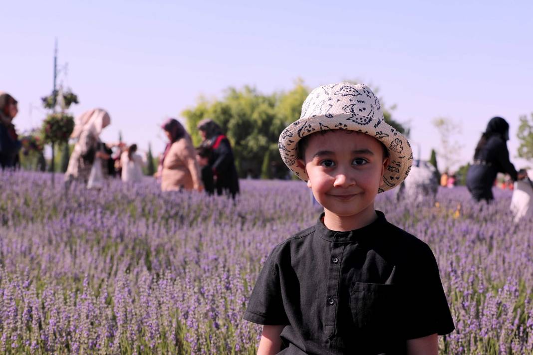 Karatay’ın mor güzelliği rekor kırdı 15
