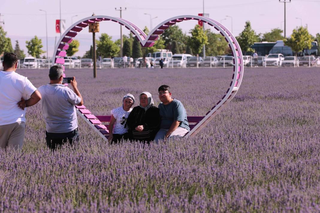 Karatay’ın mor güzelliği rekor kırdı 18