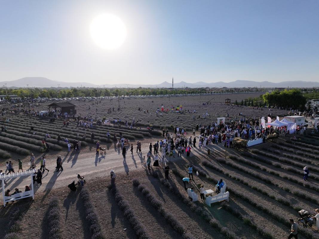 Karatay’ın mor güzelliği rekor kırdı 20