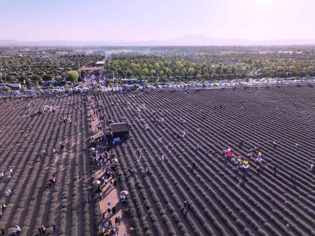 Karatay’ın mor güzelliği rekor kırdı 21