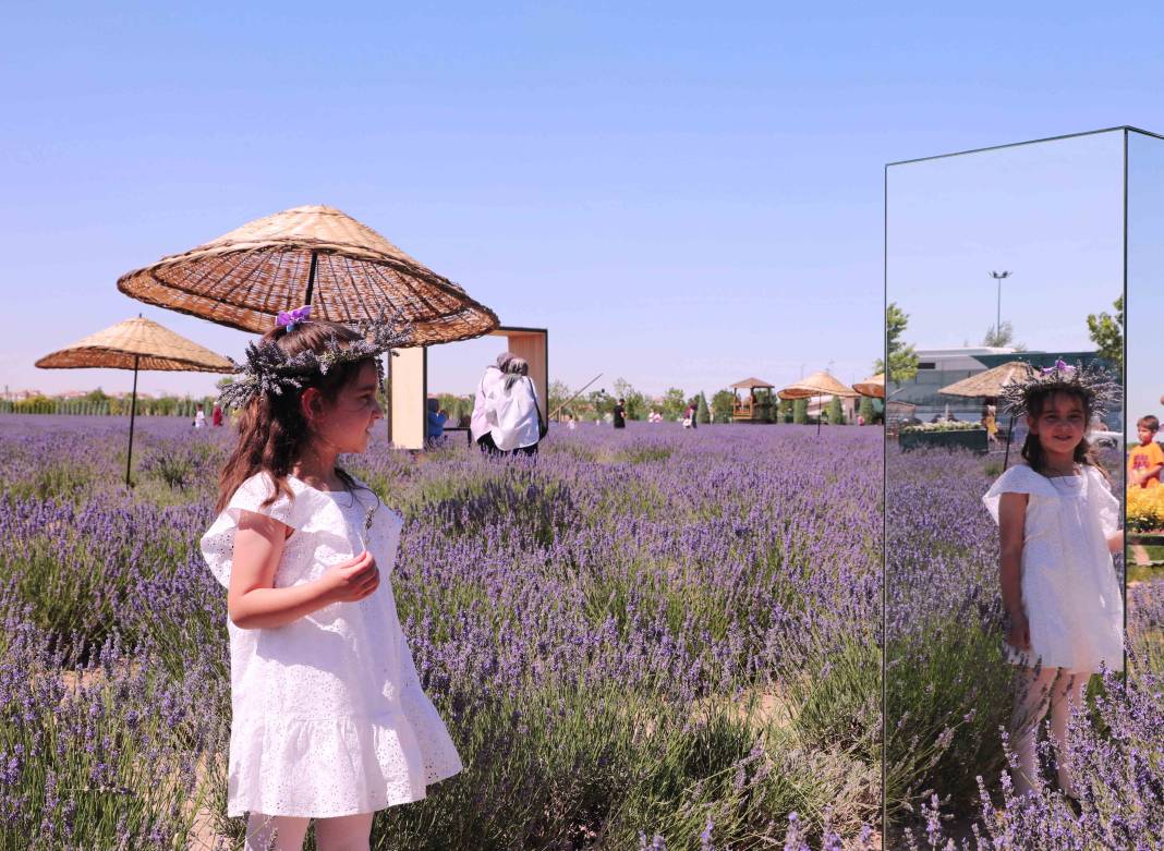 Karatay’ın mor güzelliği rekor kırdı 3