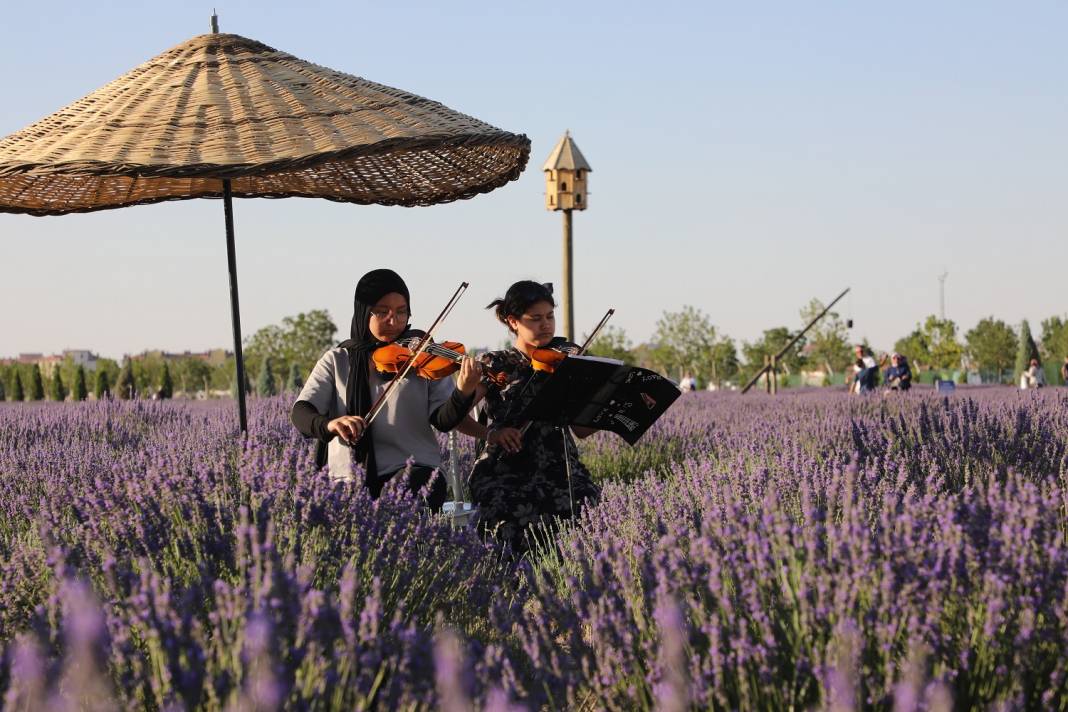 Karatay’ın mor güzelliği rekor kırdı 4