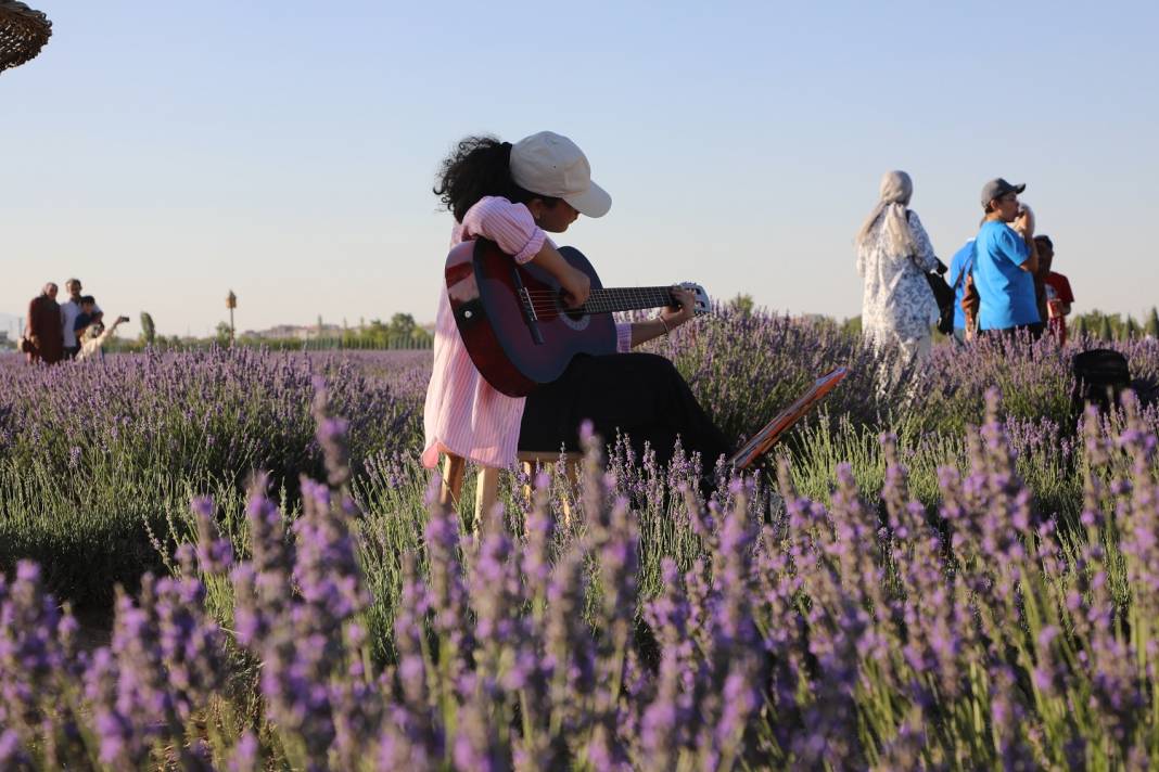 Karatay’ın mor güzelliği rekor kırdı 5