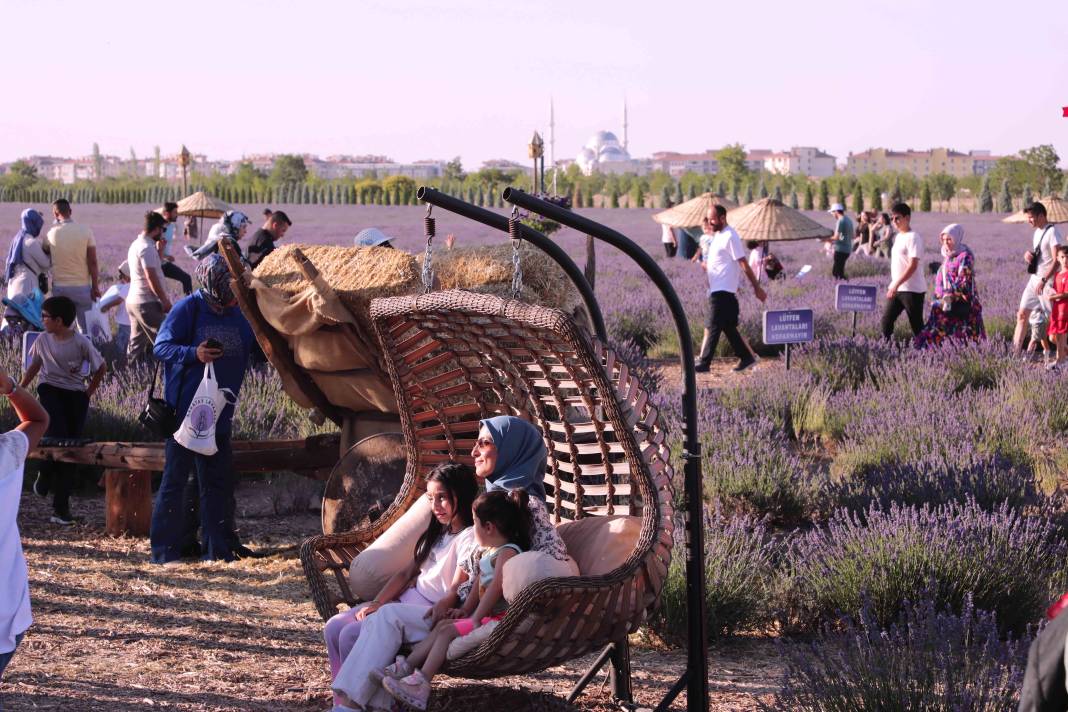 Karatay’ın mor güzelliği rekor kırdı 6