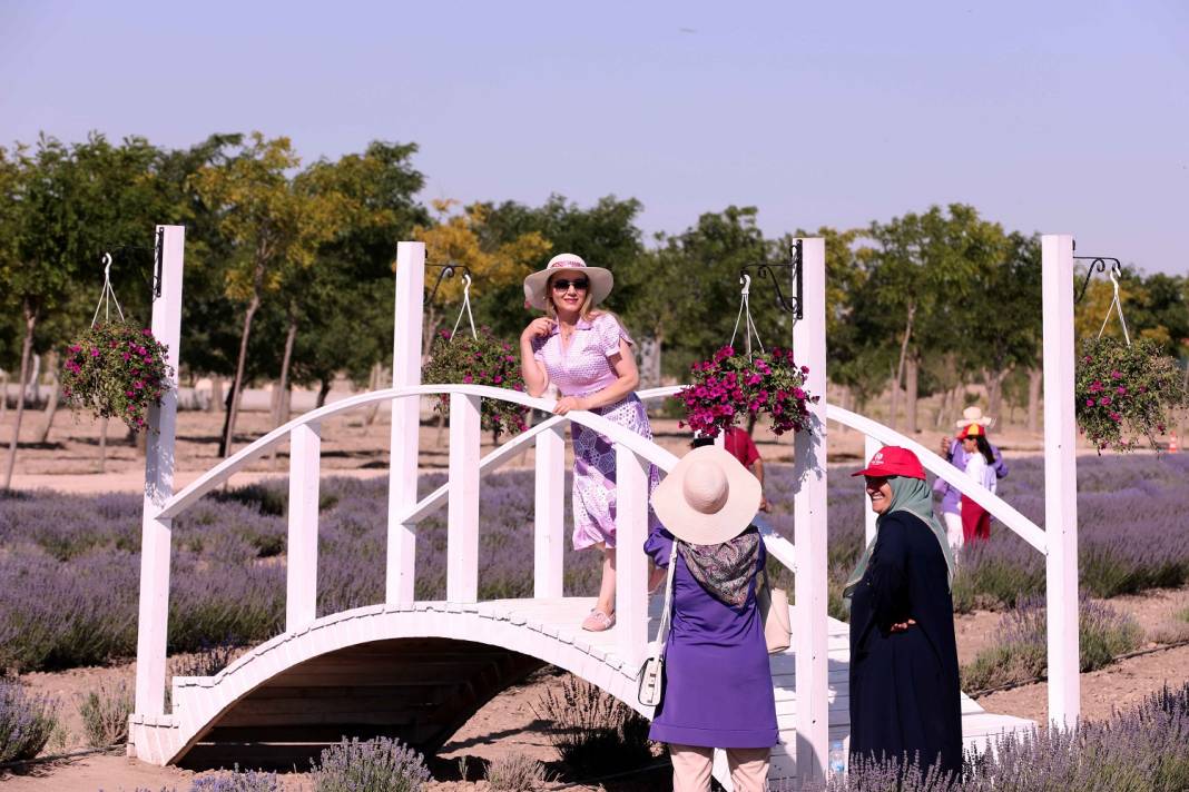 Karatay’ın mor güzelliği rekor kırdı 7