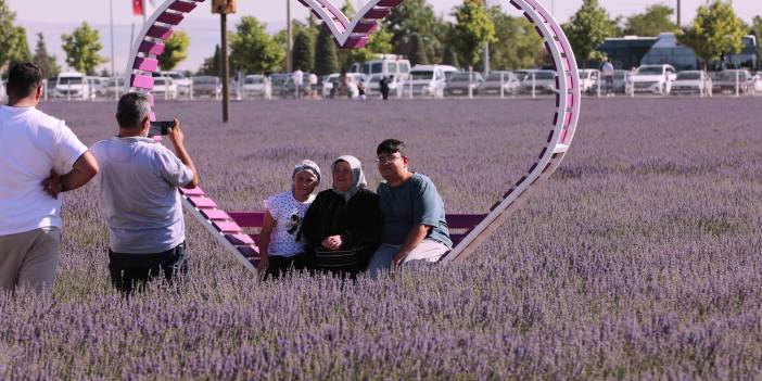Karatay’ın mor güzelliği rekor kırdı