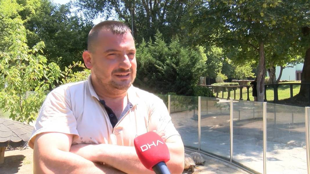 Özenle bakılıyor... Kaplumbağalara serpme kahvaltı 6