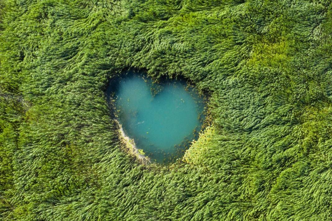 Beyşehir Gölü'nde kuraklık nedeniyle ortaya çıkan gözeler havadan görüntülendi 10