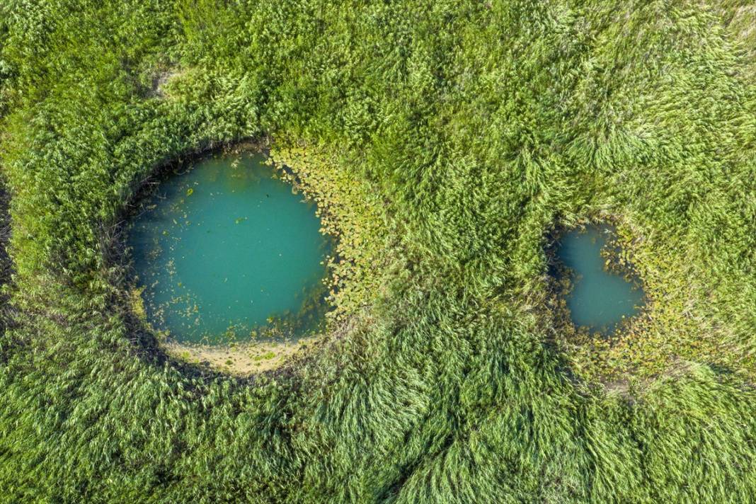 Beyşehir Gölü'nde kuraklık nedeniyle ortaya çıkan gözeler havadan görüntülendi 2