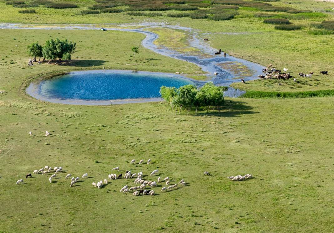 Beyşehir Gölü'nde kuraklık nedeniyle ortaya çıkan gözeler havadan görüntülendi 3