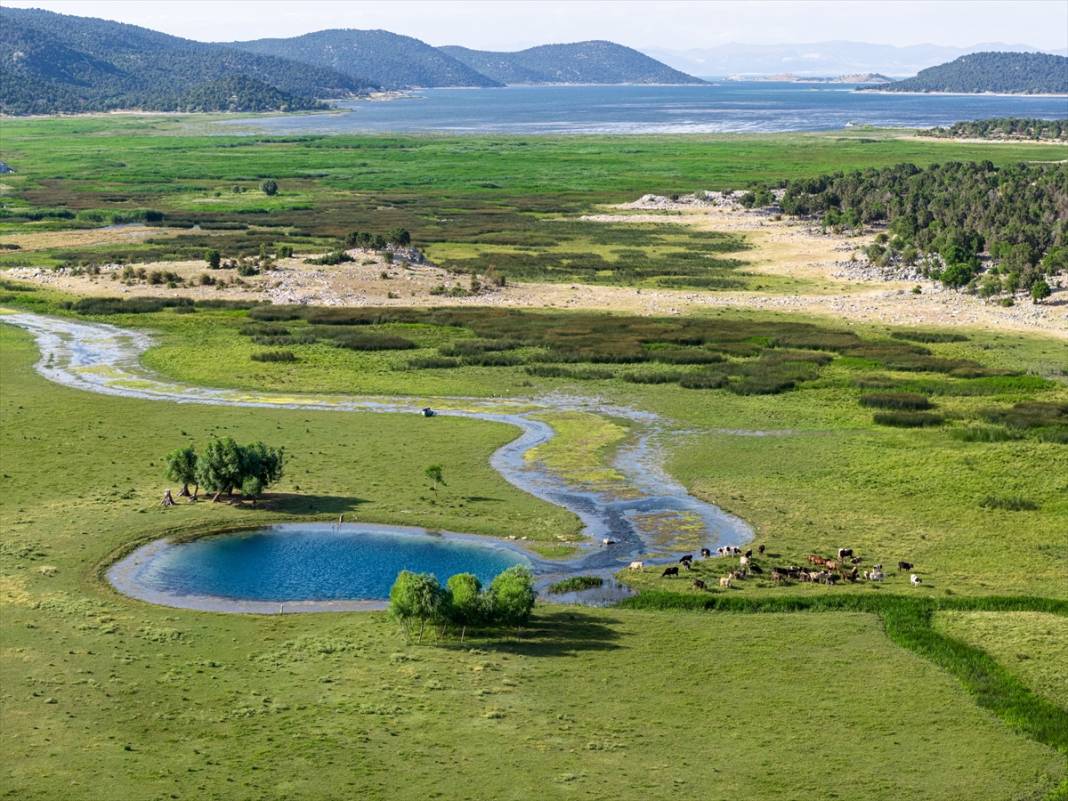 Beyşehir Gölü'nde kuraklık nedeniyle ortaya çıkan gözeler havadan görüntülendi 4