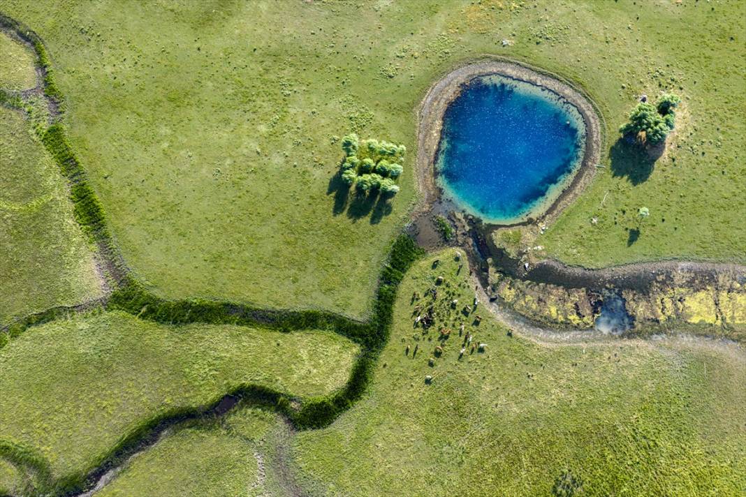 Beyşehir Gölü'nde kuraklık nedeniyle ortaya çıkan gözeler havadan görüntülendi 5