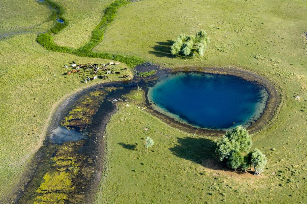 Beyşehir Gölü'nde kuraklık nedeniyle ortaya çıkan gözeler havadan görüntülendi 8