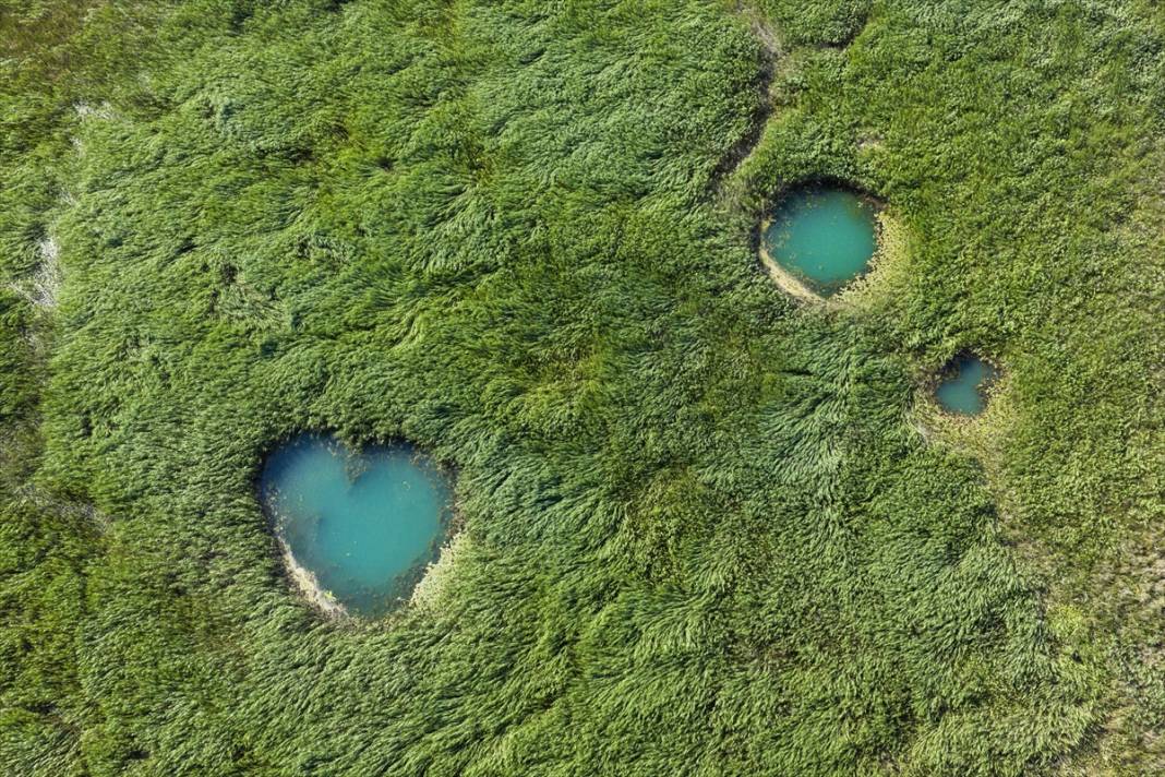 Beyşehir Gölü'nde kuraklık nedeniyle ortaya çıkan gözeler havadan görüntülendi 9