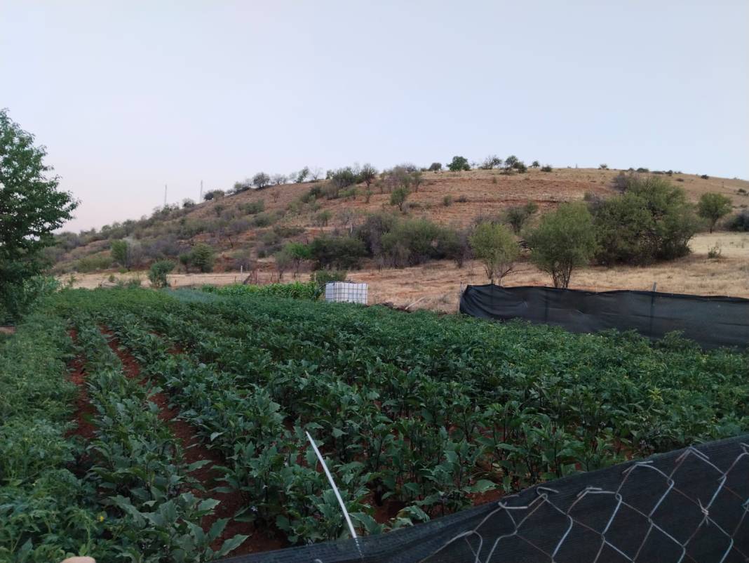Bahçe sulama kavgasında komşu çifti pompalı ile vurdu! 1 ölü, 1 ağır yaralı 3