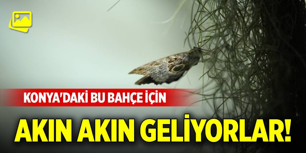 Konya'daki bu bahçe için akın akın geliyorlar! 1
