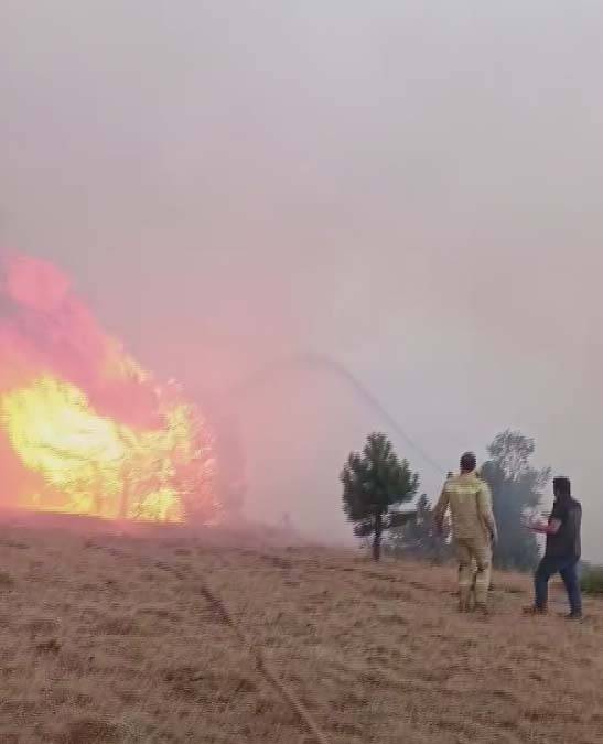 Konya'daki orman yangını 2'nci gününde 3
