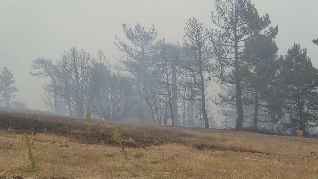 Konya'daki orman yangını 2'nci gününde 7