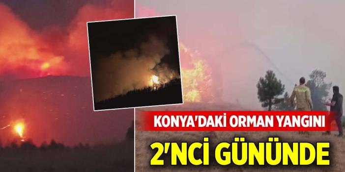 Konya'daki orman yangını 2'nci gününde