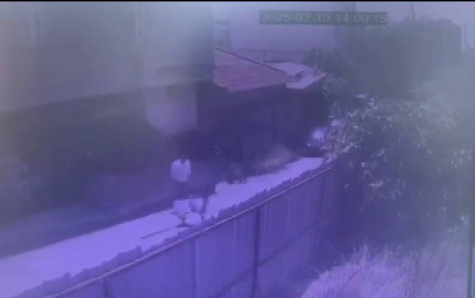 Havalı silahla atış talimi yaptı; yolda yürüyen kişi öldü 3