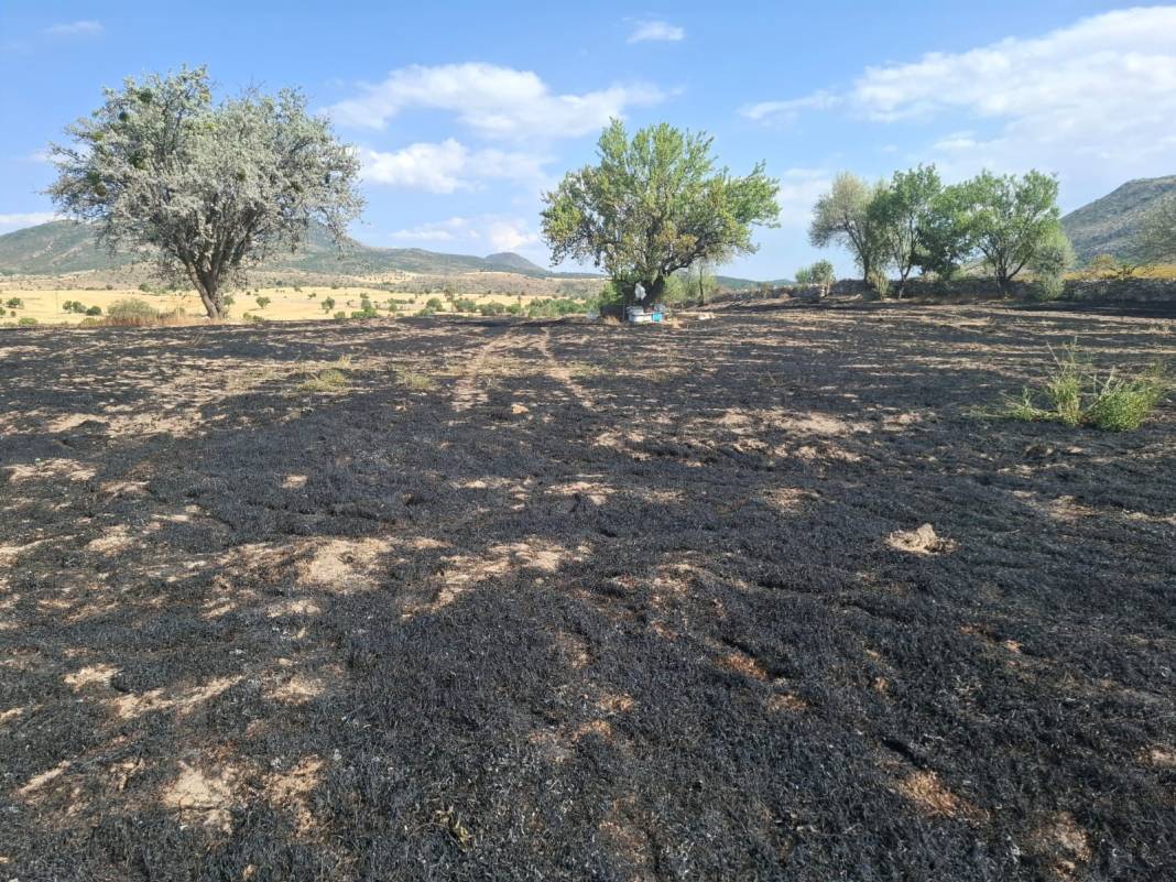 Konya'da arazi ve ahır yangını 1