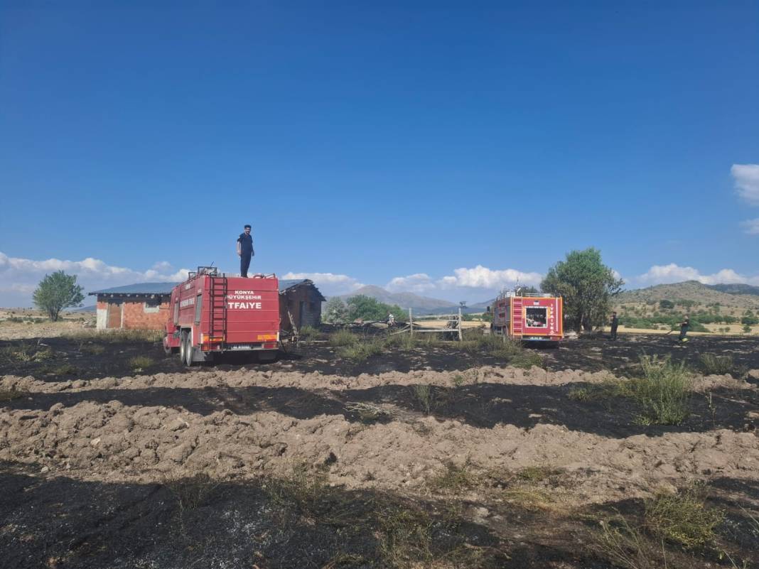 Konya'da arazi ve ahır yangını 3