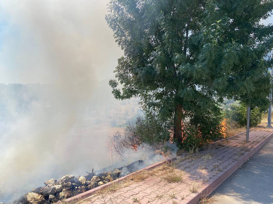 Konya'da yangın... Alevler bahçelere ulaşmadan söndürüldü 2