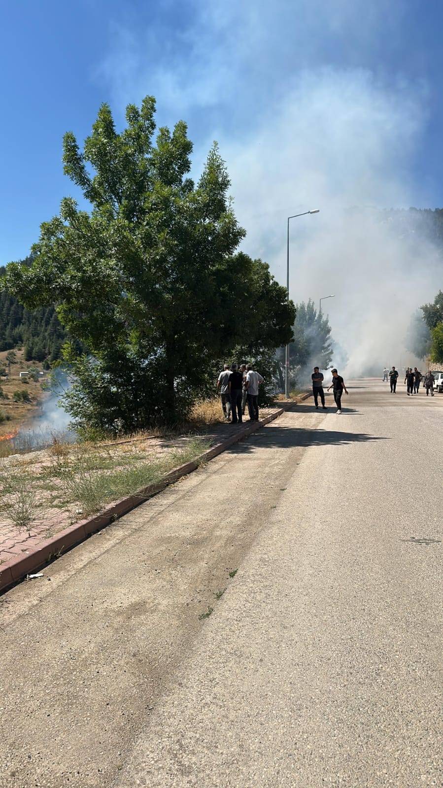 Konya'da yangın... Alevler bahçelere ulaşmadan söndürüldü 4