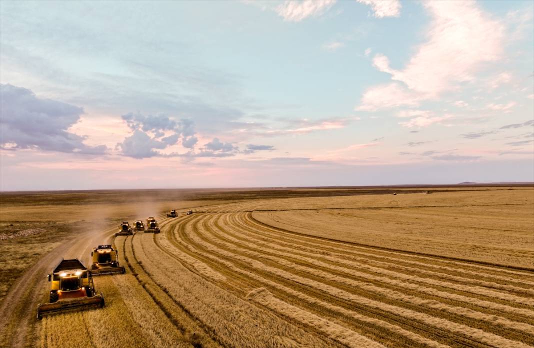 Konya'nın devasa dairesel tarlalarında hasat 1