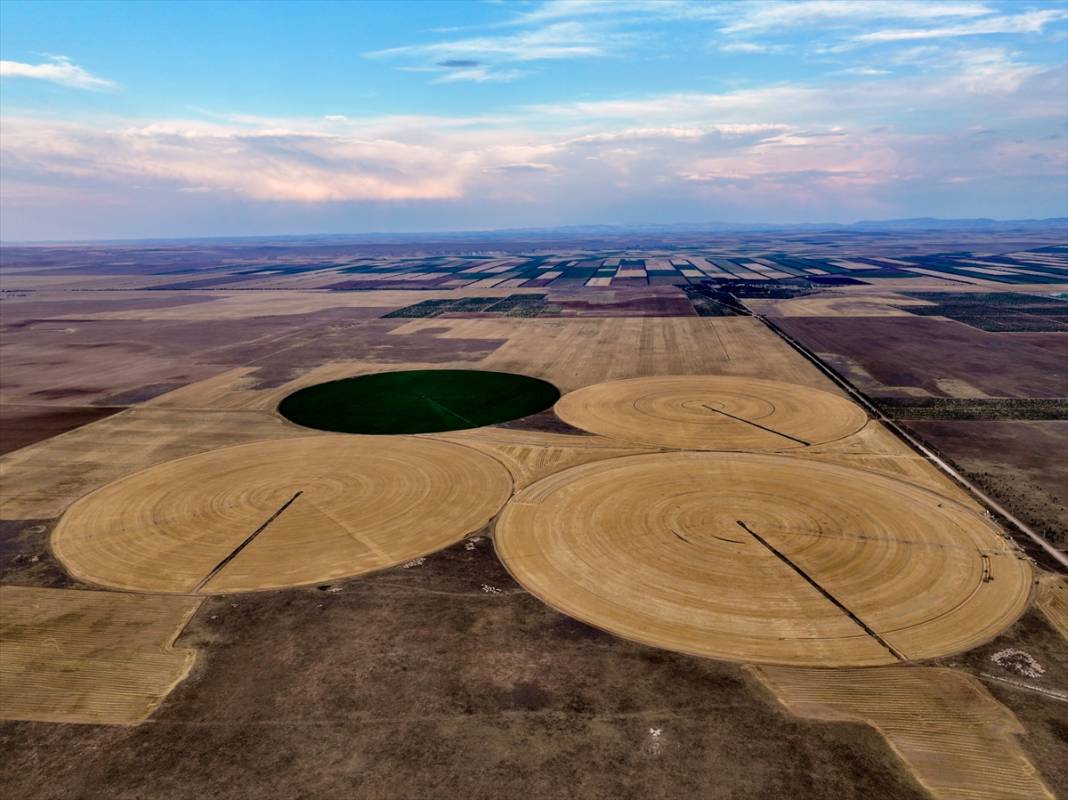 Konya'nın devasa dairesel tarlalarında hasat 2