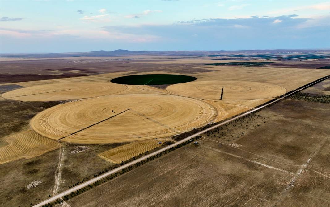 Konya'nın devasa dairesel tarlalarında hasat 3