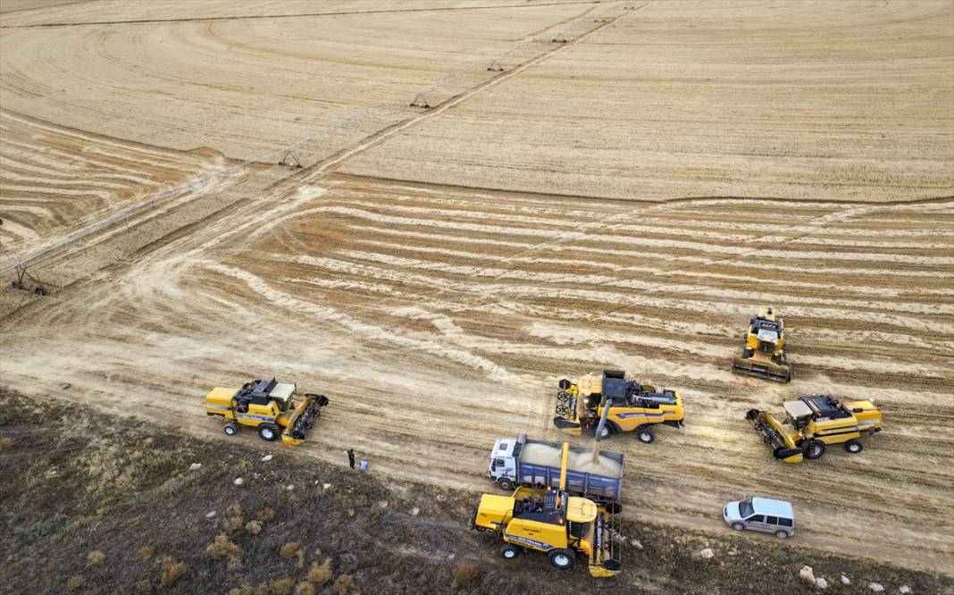 Konya'nın devasa dairesel tarlalarında hasat 4