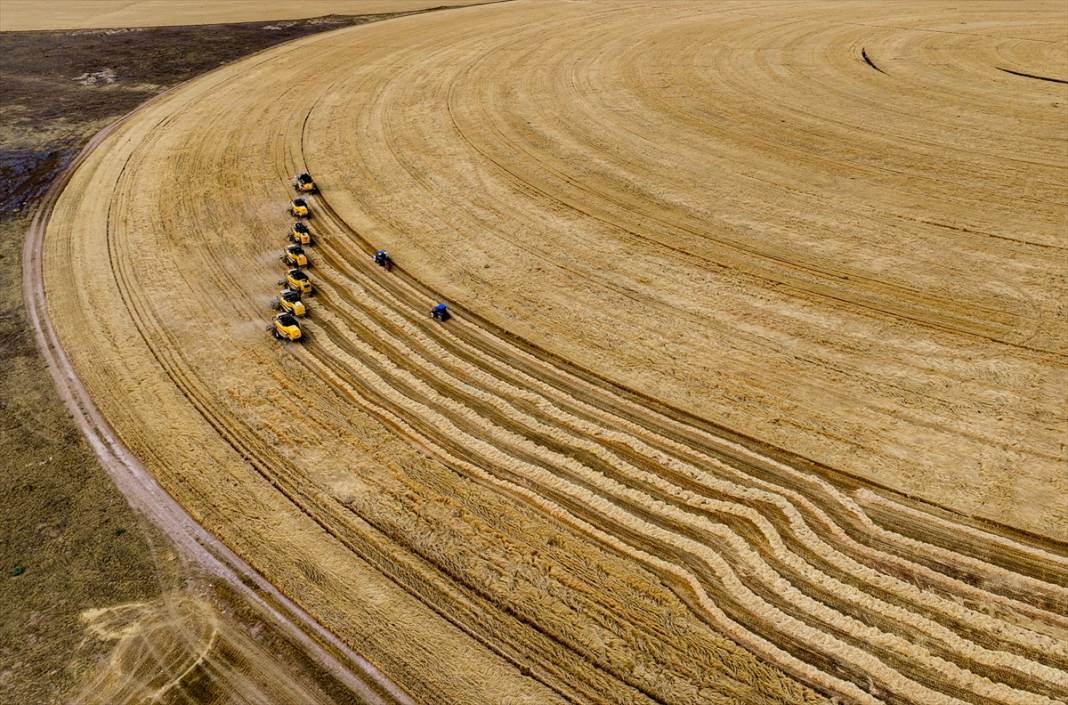 Konya'nın devasa dairesel tarlalarında hasat 6