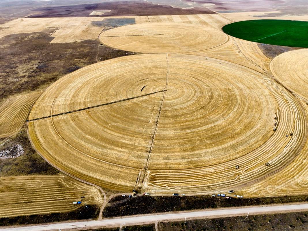 Konya'nın devasa dairesel tarlalarında hasat 7