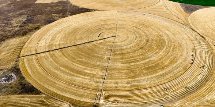 Konya'nın devasa dairesel tarlalarında hasat